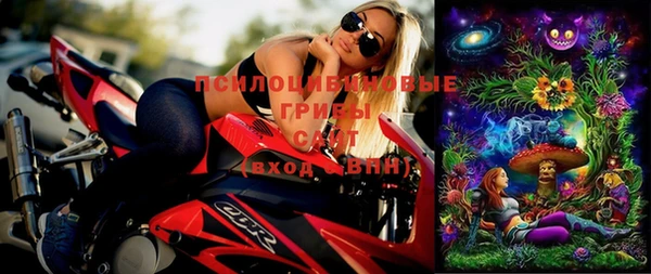скорость Елизово