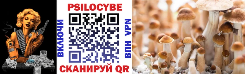 Псилоцибиновые грибы Magic Shrooms  Купить  Устюжна 