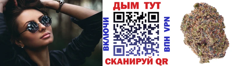Бошки Шишки план  Купить  Устюжна 